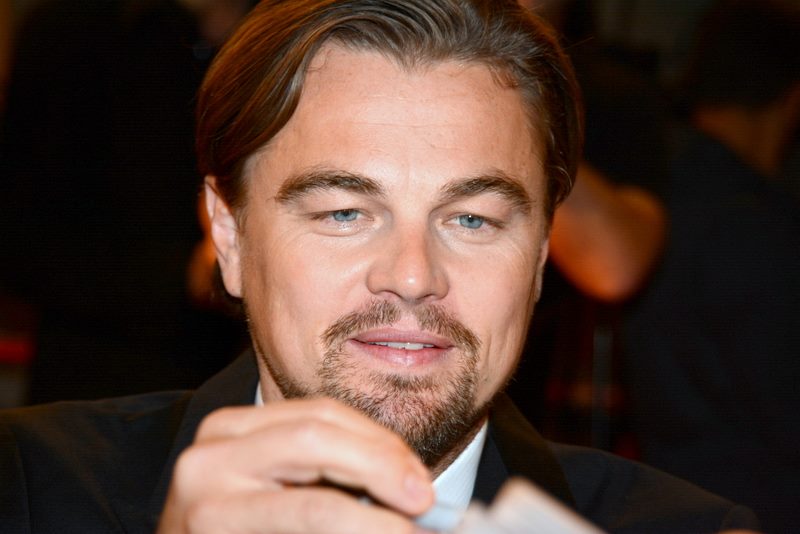Leonardo DiCaprio avp 2013