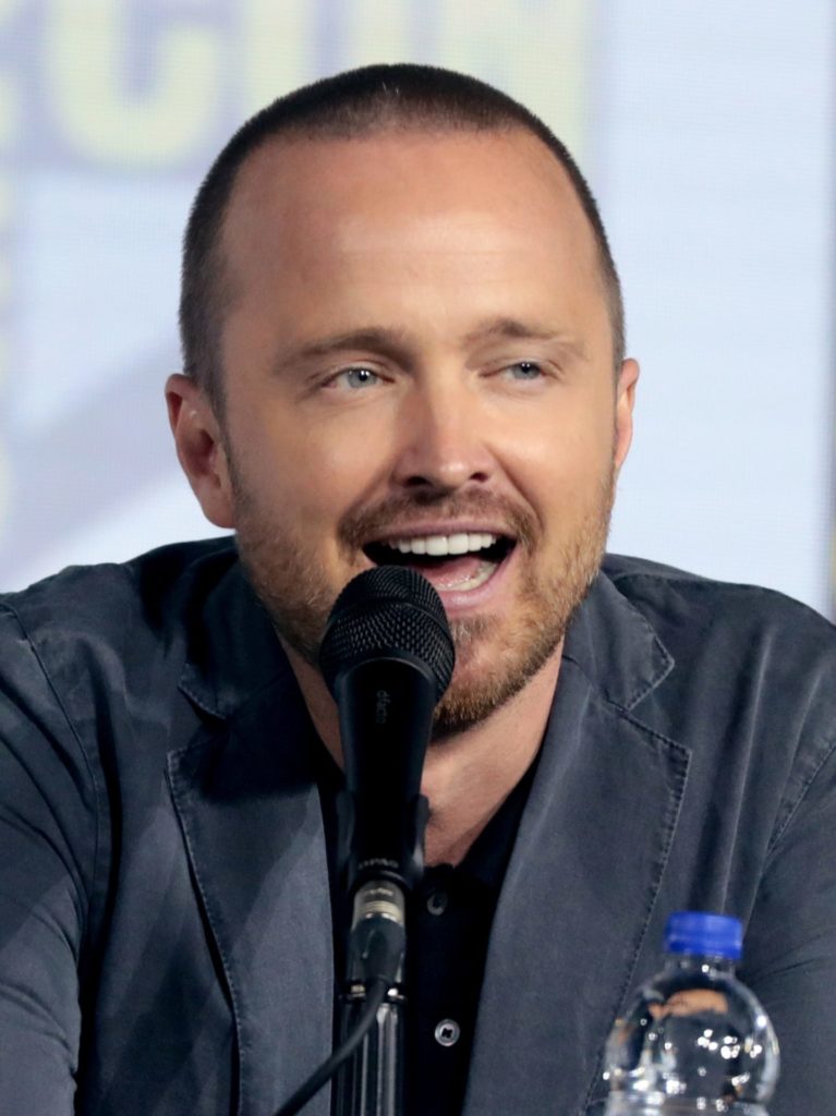 Aaron Paul SDDC 2019