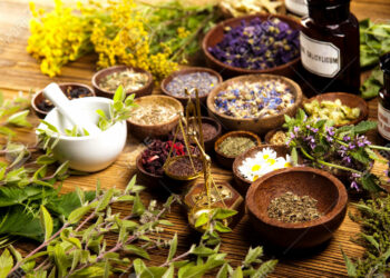 Natürliche Heilmittel: Die besten Alternativen zur Schulmedizin