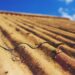asbestic tile, roof, old