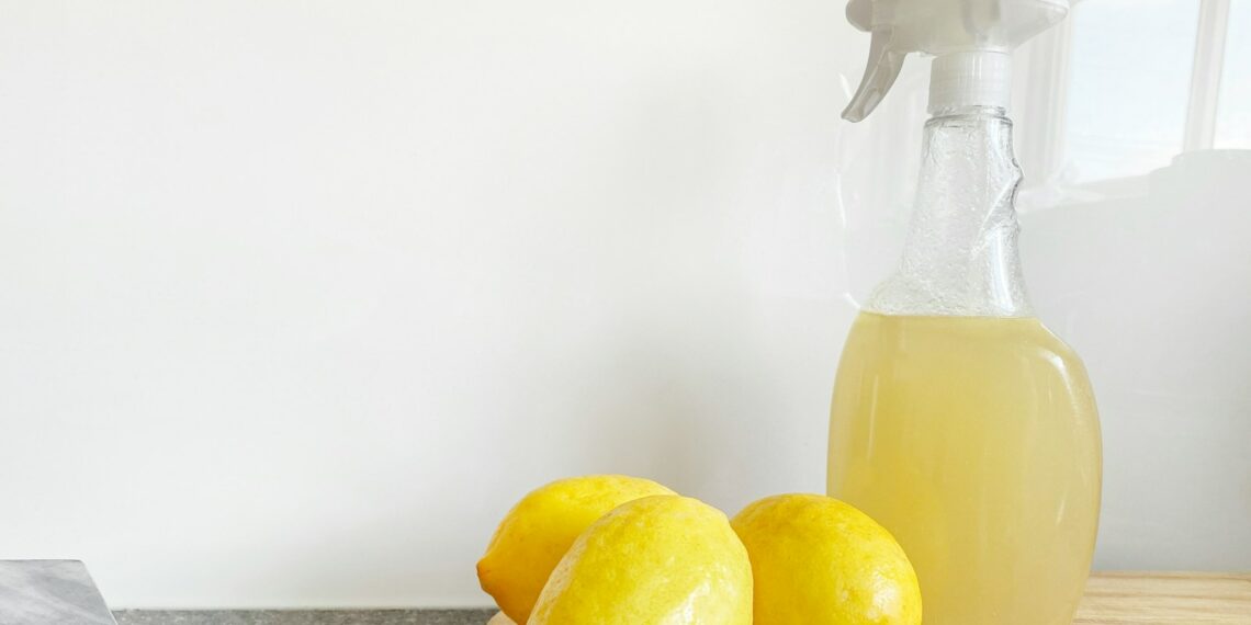 Kanalreinigung zu Hause: Mit diesen DIY-Tipps bleibt Ihr Abfluss sauber! 1 Kanalreinigung zu Hause