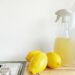 Kanalreinigung zu Hause: Mit diesen DIY-Tipps bleibt Ihr Abfluss sauber! 2 Kanalreinigung zu Hause