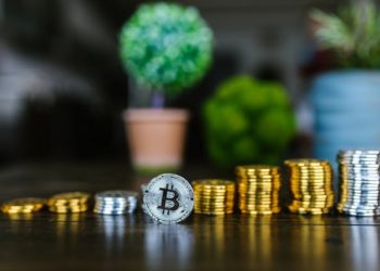 Das sind die reichsten Krypto-Investoren