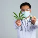 Verlässlichkeit statt Werbeversprechen, woran Patienten einen seriösen Anbieter für Cannabis auf Rezept erkennen 3 Verlässlichkeit statt Werbeversprechen, woran Patienten einen seriösen Anbieter für Cannabis auf Rezept erkennen